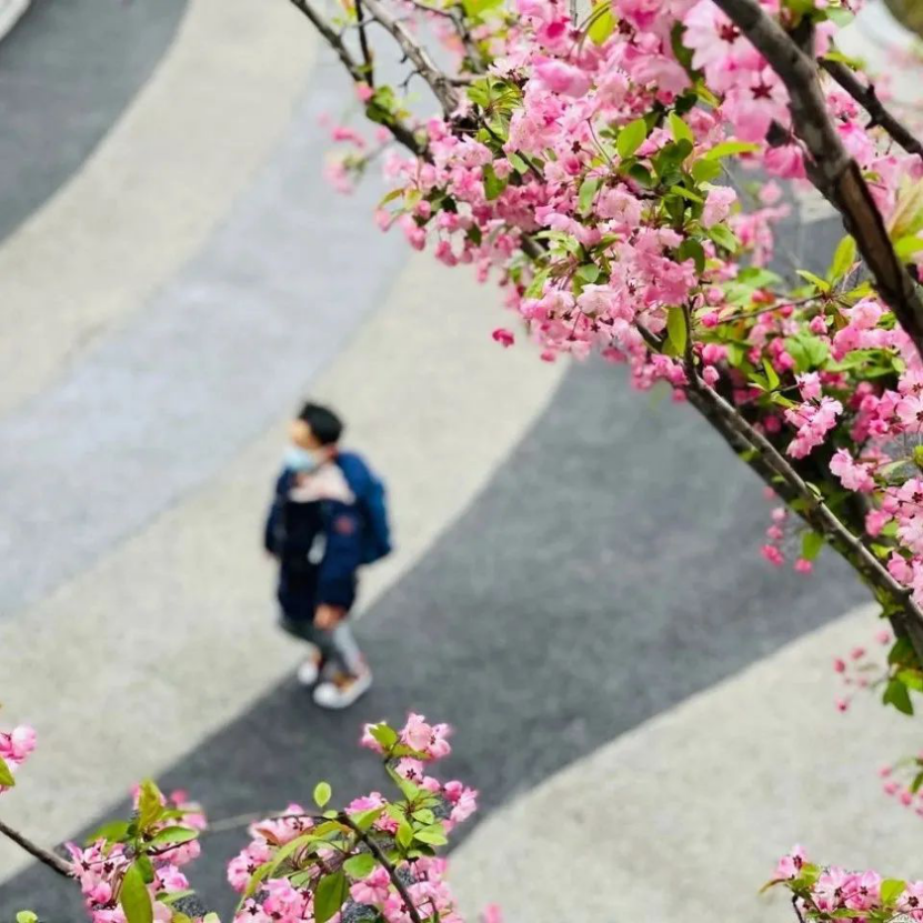 满眼星辰共赴春暖花开！我们开学啦~~