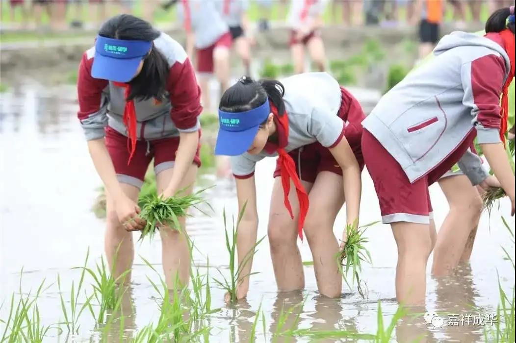 嘉祥教育20周年|体验导行，以德润心